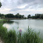 Photo n°1 de l'avis de Stefano.R fait le 01/07/2023 à 20:07 sur le  Spark - Vicenza à Torri di Quartesolo