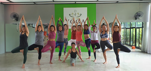 Yoga Connections