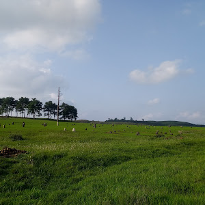 Paradise Falls Camp photo