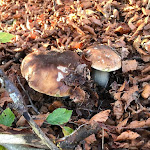 Photo n°1 de l'avis de Paolo.u fait le 15/06/2020 à 11:08 sur le  porto del vino Toscana Twist à Poppi