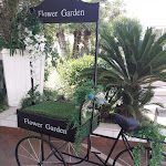 Photo n°4 de l'avis de Gilda.r fait le 09/09/2023 à 18:46 sur le  Villa Florio Ricevimenti à San Nicandro Garganico