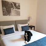 Photo n°3 de l'avis de Kytka.o fait le 12/05/2024 à 17:34 sur le  Hotel Del Porto à Torri del Benaco