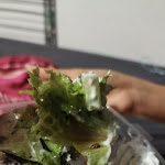 Photo n°1 de l'avis de Fabi. fait le 23/07/2023 à 19:59 sur le  Pizzeria Ariana à Kassel