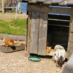 Photo n°34 de l'avis de Andrea.o fait le 25/07/2018 à 09:36 sur le  Rifugio Paion à Cavalese