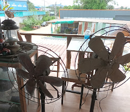 ก๋วยเตี๋ยวเป็ด photo