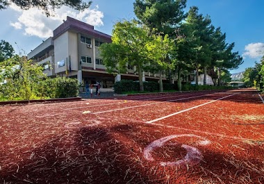 M. Rutelli / State Higher Institute