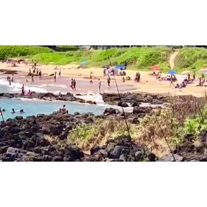 Your Maui Adventure Awaits - photo 11