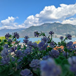 Photo n°5 de l'avis de Davide.o fait le 27/08/2022 à 10:17 sur le  Hotel Continental Lovere à Lovere