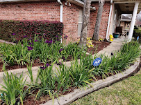 Young Land Designs LLC. - Photo 5 - Car repair in Lafayette, LA, Lafayette