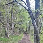 Photo n°3 de l'avis de Francesca.a fait le 06/05/2024 à 19:37 sur le  Hotel & Panoramic Restaurant San Carlo à Molina di Ledro