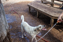Taurus Academy Lake Travis - Photo 4 - Car repair in Austin, TX, Austin