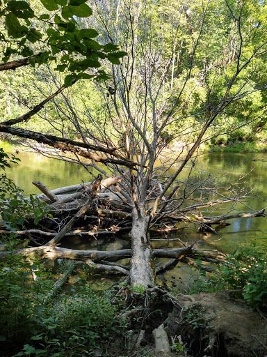 Metea County Park