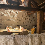 Photo n°4 de l'avis de Joerg.c fait le 02/06/2022 à 04:44 sur le  Restaurant Pizzeria Torgglkeller à Klausen