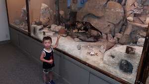 Hi-Desert Nature Museum - photo 82