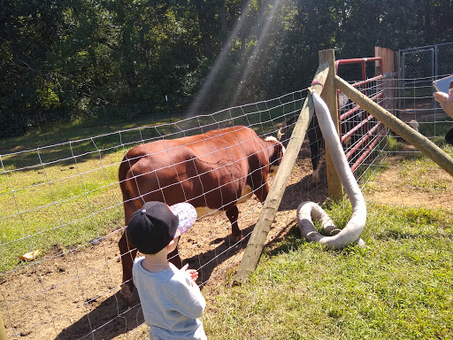 Zoo «3 Palms Zoo & Education Center», reviews and photos, 924 Blackbird Forest Rd, Clayton, DE 19938, USA