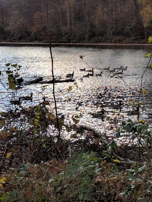 Lakeside Park - photo 20