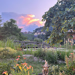 Photo n°1 de l'avis de Laura.a fait le 13/07/2023 à 14:58 sur le  Hotel Mirabell Alpine Garden Resort & Spa à Siusi allo Sciliar, Castelrotto