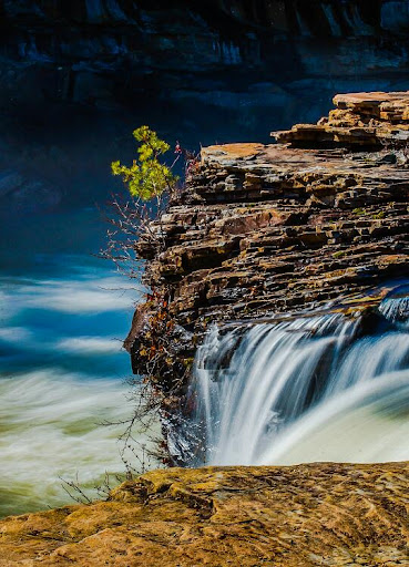 Nature Preserve «Little River Canyon National Preserve», reviews and photos, 4322 Little River Trail NE, Fort Payne, AL 35984, USA