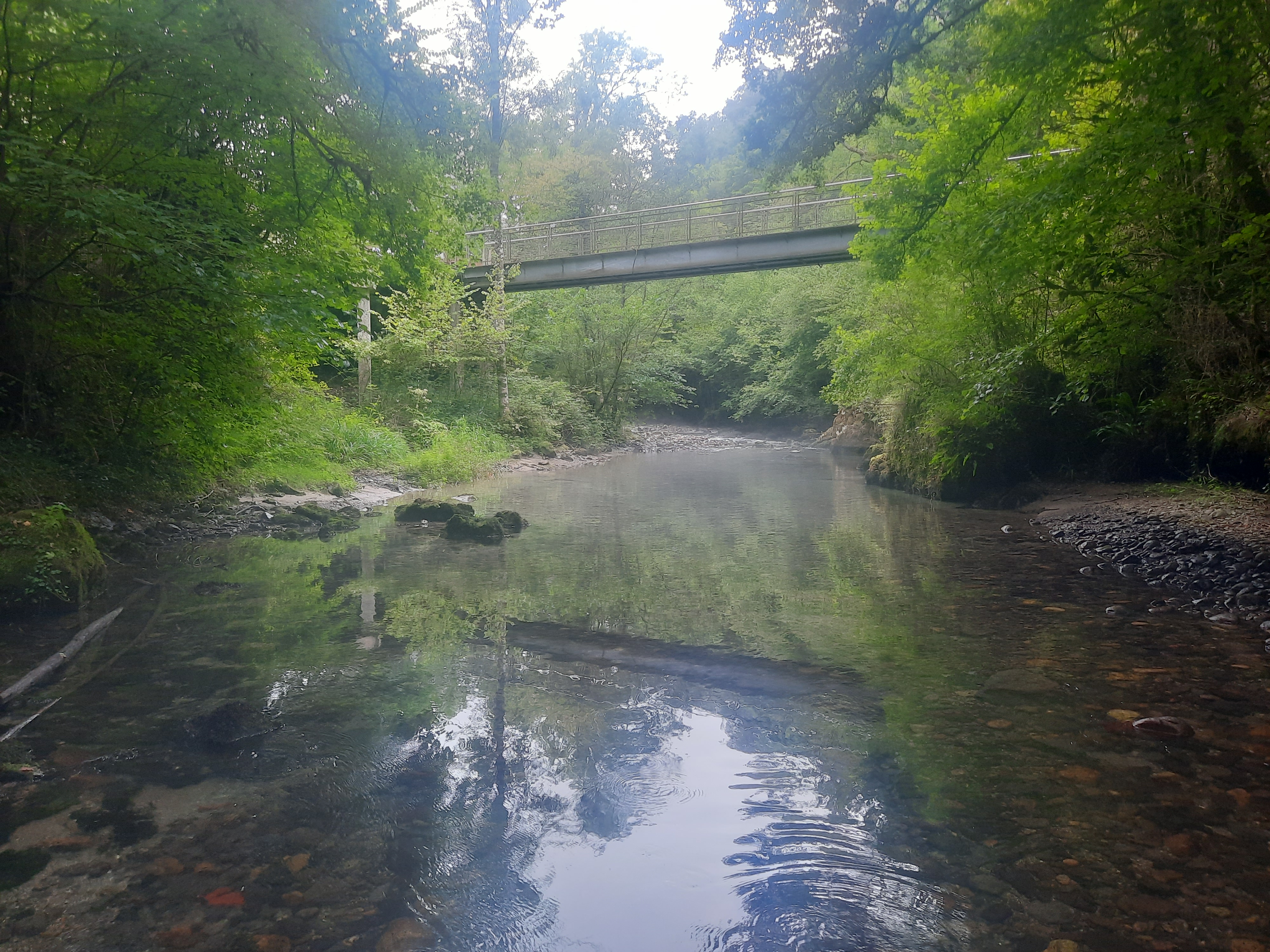 Photo n° 26 de l'avis de DIMA.A fait le 15/08/2021 à 16:23