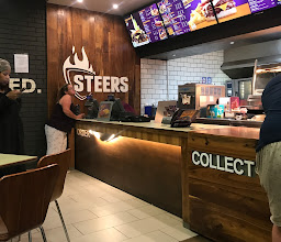 Steers photo