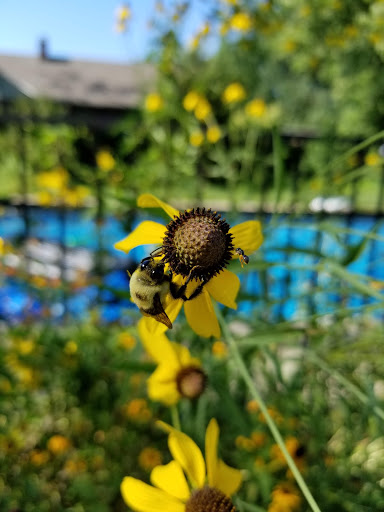 Country Club «Losantiville Country Club», reviews and photos, 3097 Losantiville Ave, Cincinnati, OH 45213, USA