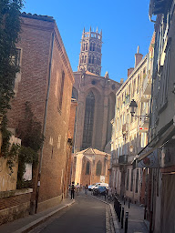 Photo n°5 de Nocchio à Toulouse ()