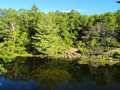 Nature Preserve «John Burroughs Slabsides», reviews and photos, Burroughs Dr, West Park, NY 12493, USA