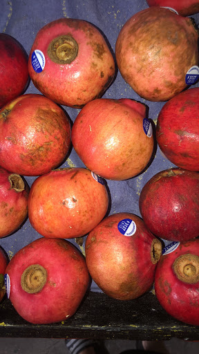 Produce Market «Marketplace Produce», reviews and photos, 11403 Seminole Blvd, Largo, FL 33778, USA