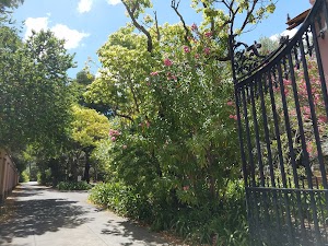 Carmelite Monastery - photo 21