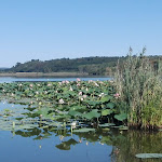 Photo n°1 de l'avis de Cristina.i fait le 27/08/2018 à 15:41 sur le  Lido Molo34 à Candia Canavese