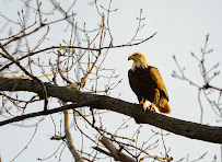Marc Sisson Photography - Photo 2 - Car repair in , Providence