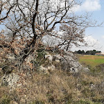 Photo n°1 de l'avis de vitalucia.o fait le 06/05/2021 à 06:27 sur le  B&B Nuzzi à Santeramo in Colle