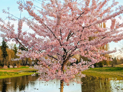 Kirkland Window and Glass Tinting and Window Film