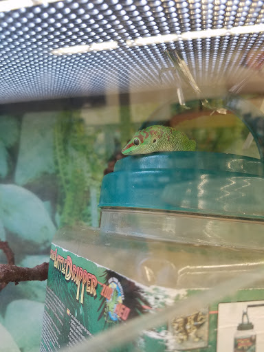 Pet Supply Store «Petco Animal Supplies», reviews and photos, 11147 Park Blvd N, Seminole, FL 33772, USA