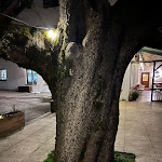 Photo n°1 de l'avis de Markus.. fait le 08/04/2023 à 18:24 sur le  Brandler Alm à Ruhpolding