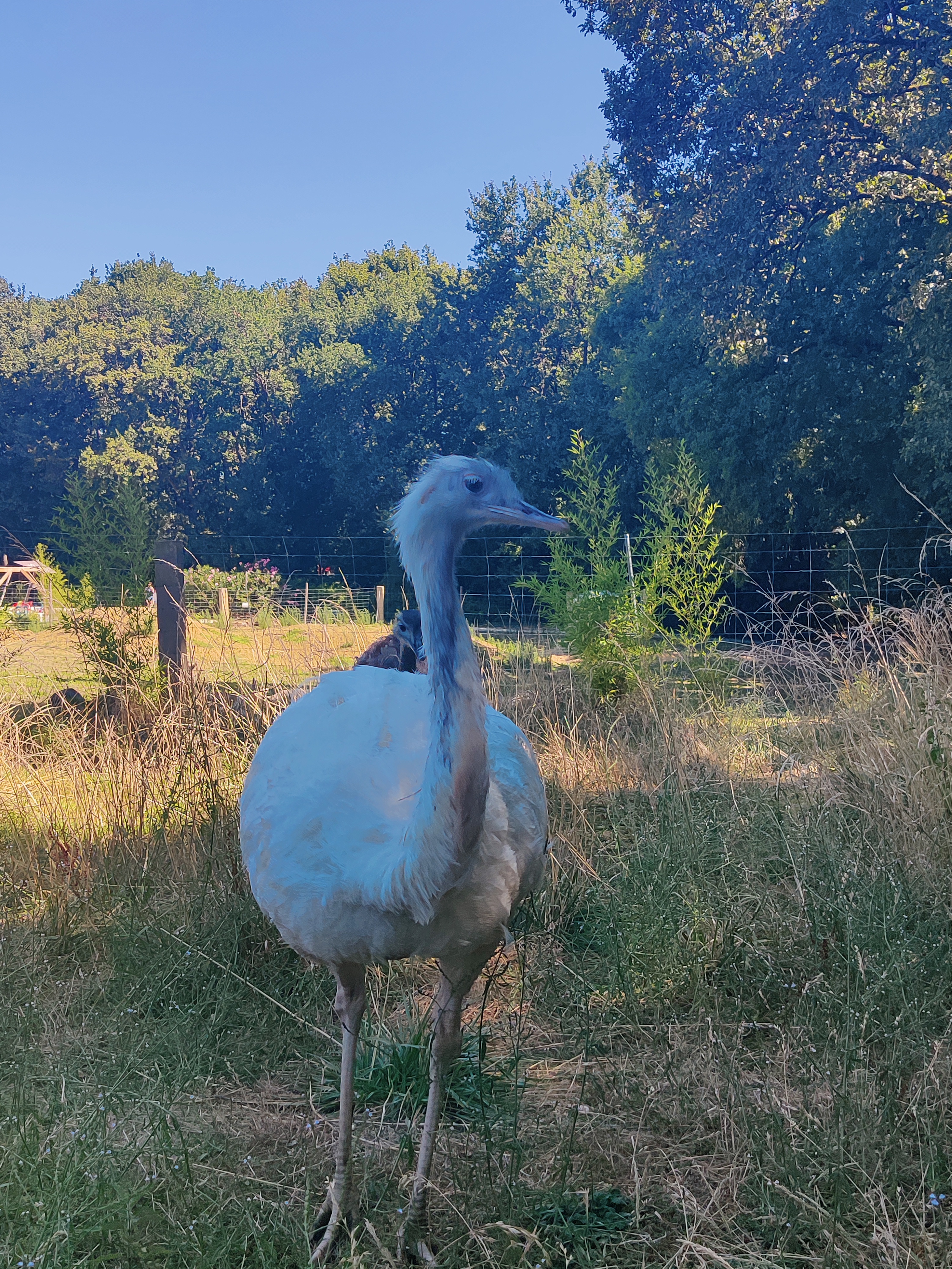 Photo n° 5 de l'avis de kass.l fait le 24/07/2022 à 17:29