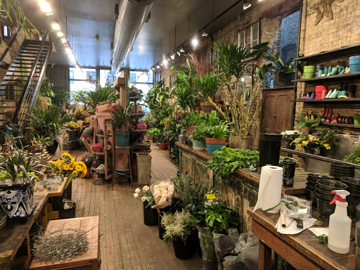 Florist «A New Leaf», reviews and photos, 1645 N Wells St, Chicago, IL 60614, USA