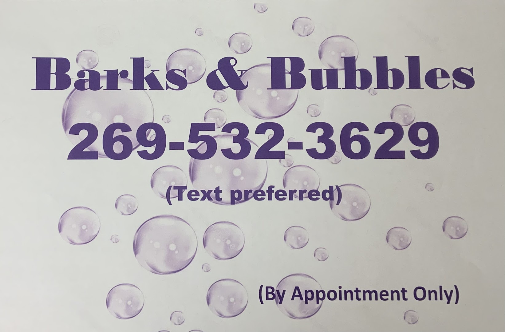 Barks & Bubbles