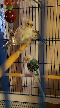 Pet Supermarket - Photo 5 - Car repair in Orange City, FL, Deltona