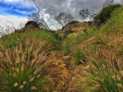 National forest Simi Valley