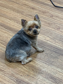 FUR KREWE - Photo 5 - Car repair in Baton Rouge, LA, Baton Rouge