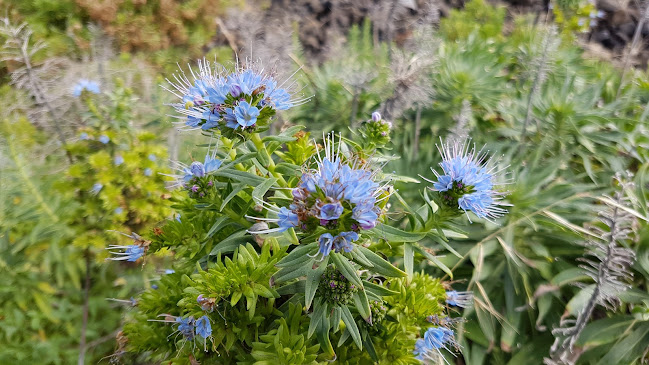 PeçasRam - Comérc. De Peças E Acessórios Lda. - Loja de móveis
