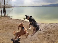 Boulder Doggie Adventures - Car repair in , Longmont - Rated 5.0/5