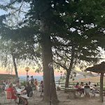 Photo n°2 de l'avis de julia.a fait le 07/08/2022 à 15:25 sur le  A Testa In Giu .2 Di Marrone Massimo à San Giorgio Scarampi