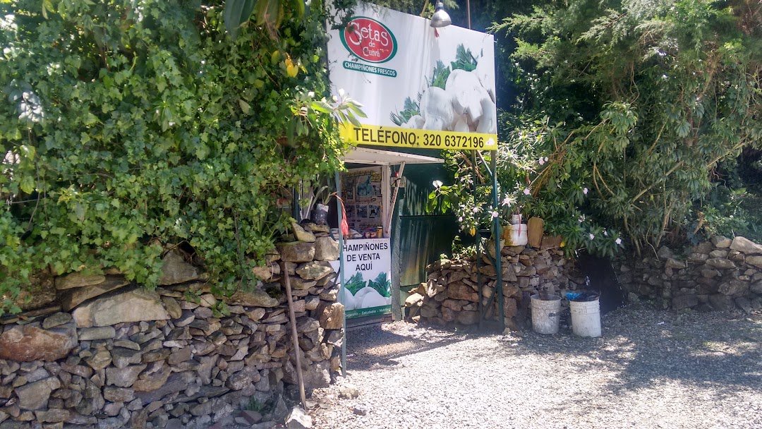 Queso Mozarella Y Champiñones