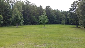 Scenic Mountain - photo 83