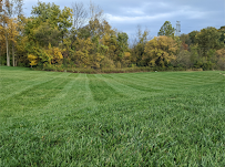 Kakuz Landscaping - Photo 8 - Car repair in , Lancaster