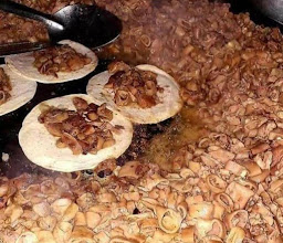 Tripita Precocida photo