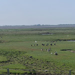 Photo n°35 de l'avis de Mario.n fait le 24/06/2023 à 13:04 sur le  Hotel Seehof à Baltrum