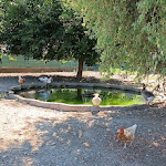 Photo n°5 de l'avis de Daniele.b fait le 08/08/2020 à 21:35 sur le  Al Pum Rus à Sozzago